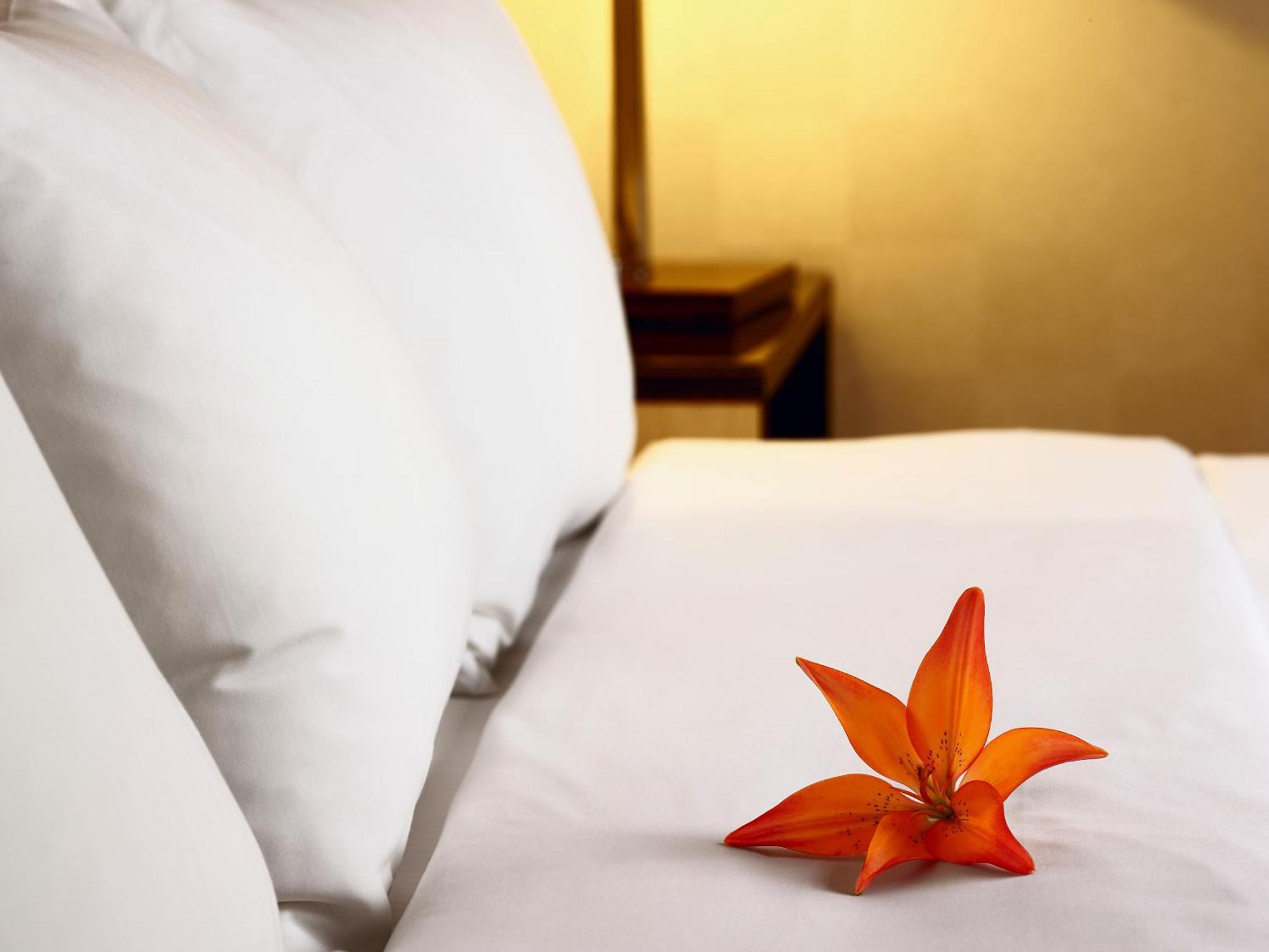 Hotel Acadia Québec Kültér fotó